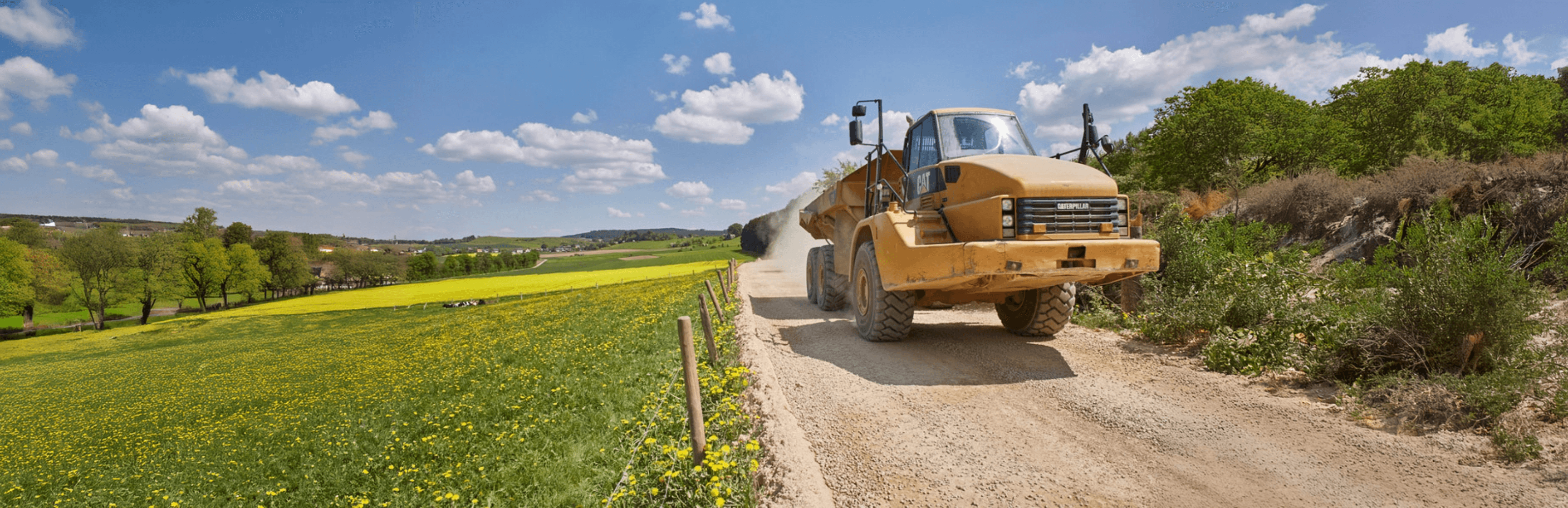 kipplaster-weidenlandschaft